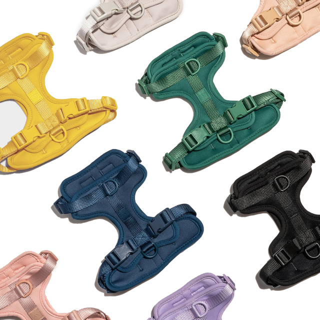 Luxury Macaron Colorful Dog Harness Adjustable Comfortable Padded