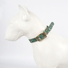 Customized OEM Pattern PVC TPU Pet Dog Collar Leash Set for Outdoor