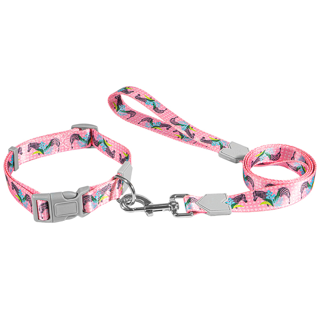 OEM Pattern Polyester Smooth Surface Dog Collar Leash Set