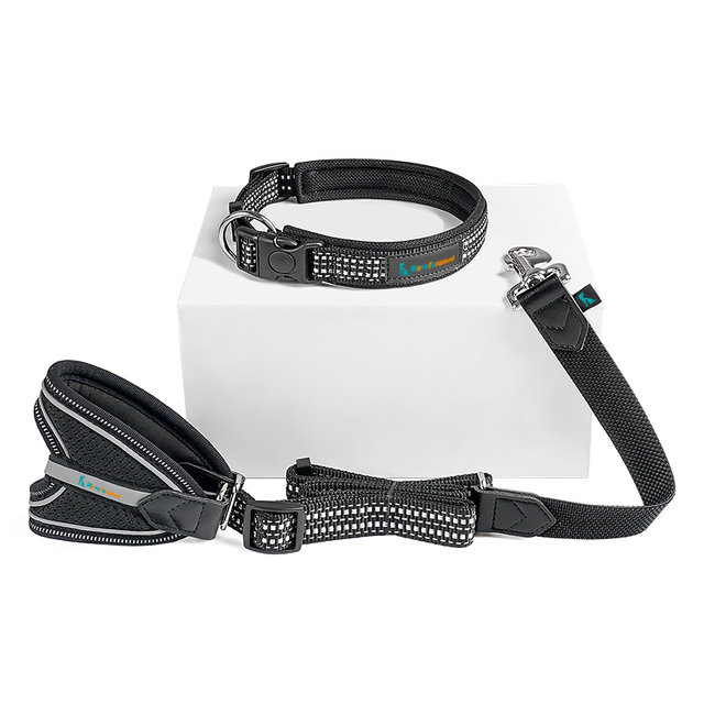 Reflective Leather Pet Dog Collar And Leash with Buckle Lock Special Comfort Handle for Walking Dog