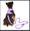 Petisland Macaron Dog Harness PVC Coating Collar And Leash with Plastic Poo Bag Holder