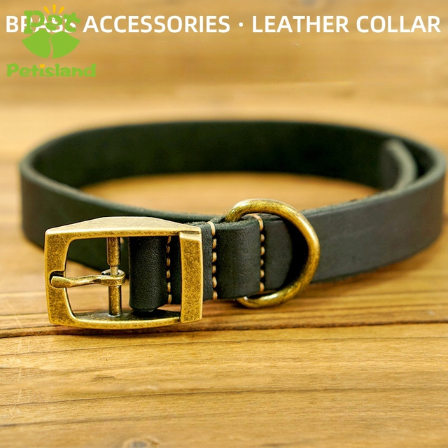 Petisland Classical Genuine Leather Dog Collar With Pin Buckle