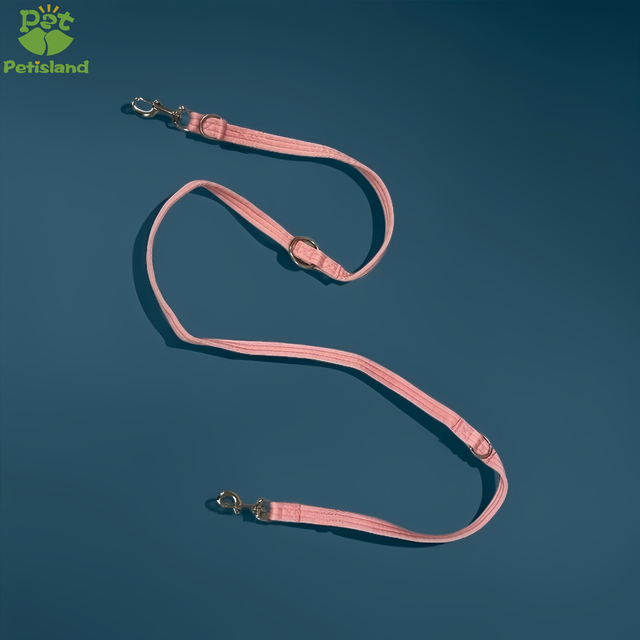 dog leash, double clip dog lead