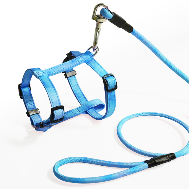 Mini Dog No Pull Cat Harness And Leash Set