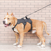 No Pull Oxford 600D Tactical Outdoor Dog Harness with Thick Lining Reflective