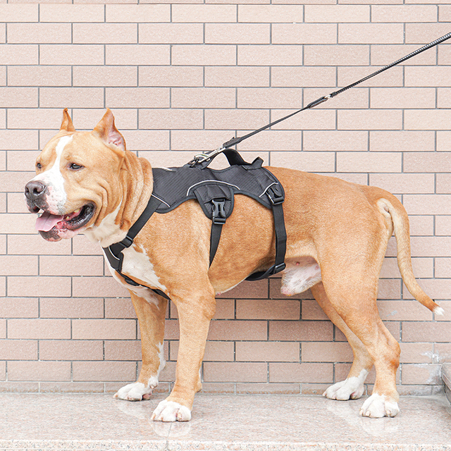 No Pull Oxford 600D Tactical Outdoor Dog Harness with Thick Lining Reflective