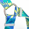 OEM Design Polyester Quick Wear Simple Dog Harness