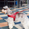 Traditional Neoprene Nylon Material Pet Dog Leash 
