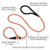 Reflective 1.0cm Diameter P Shape Polyester Nylon Pet Dog Rope Leash for Training Slip Dog Leash