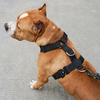Adjustable H Shape Durable No Pull Nylon Neoprene Dog Harness