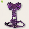 Upgraded Dog Harness with Detachable Padding Adjustable H-Shape Pet Harness for Training Walking Durable and Comfortable Design