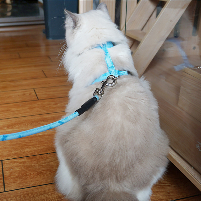 Mini Dog No Pull Cat Harness And Leash Set