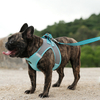 Super Light Quick Cool Mesh Cloth Dog Harness Leash Set