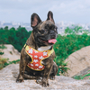 New Small Breed OEM Pattern No Pull Dog Harness