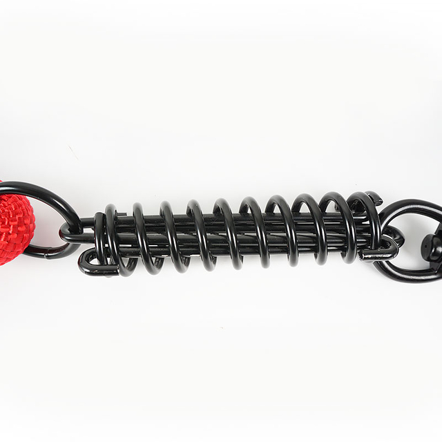 Special Super Strong Reflective Nylon Rope Dog Leash with Iron Spring Cushion