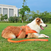 Traditional Neoprene Nylon Material Pet Dog Leash 