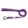 Large Dog Use Nylon Dog Leash with Aluminum Alloy Carabiner Clip 