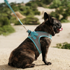 Super Light Quick Cool Mesh Cloth Dog Harness Leash Set