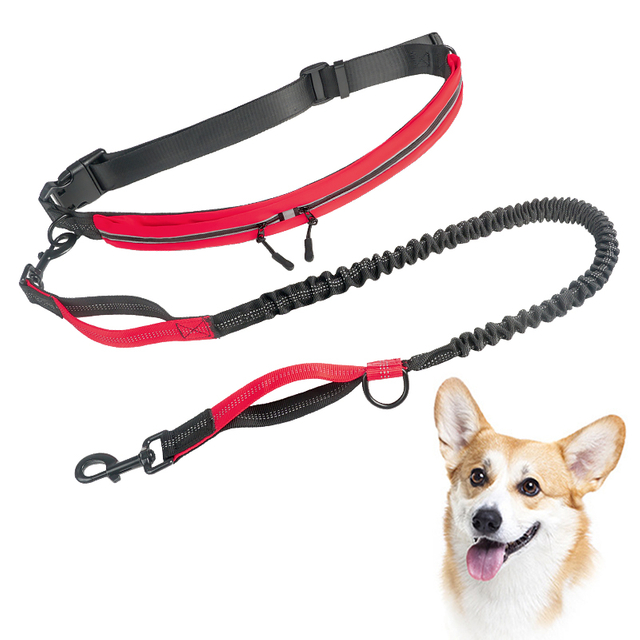 Waterproof Hands Free Walking Dog Leash with Poo Bag Holder Phone Holder Elastic Strap