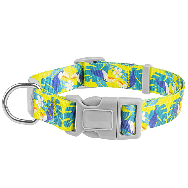 OEM Pattern Polyester Pet Dog Collar with Plastic Buckle