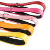 Large Dog Use Nylon Dog Leash with Aluminum Alloy Carabiner Clip 