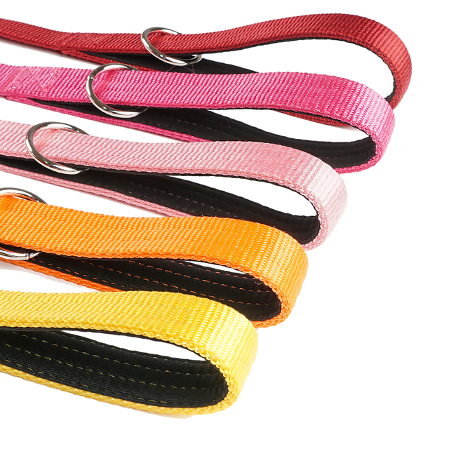 Large Dog Use Nylon Dog Leash with Aluminum Alloy Carabiner Clip 