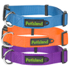 Traditional Model Useful Nylon Pet Dog Collar with PVC Logo