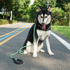 P Shape Polyester Nylon Dog Rope Leash for Training Slip Dog Leash