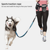 Hands Free Walking Pet Dog Leash with Elastic Strap Phone Holder