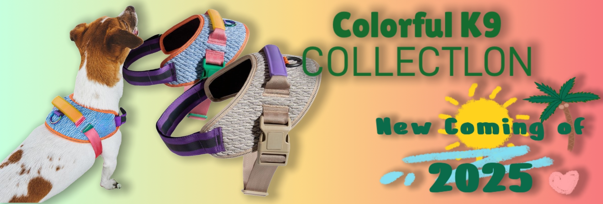 Colorful k9 wangzhan