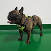 New Knitted Fabric Light Weight Dog Harness with Reflective Wires