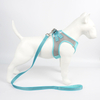 Super Light Quick Cool Mesh Cloth Dog Harness Leash Set
