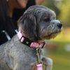 Puppy Choice Polyester OEM Pattern Dog Harness