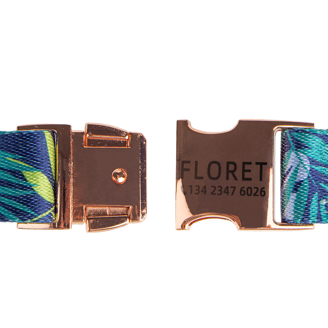 Laser Name Contact on Metal Buckle Polyester Dog Collar with OEM Pattern