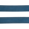 Reflective Nylon Pet Dog Leash With Neoprene Handle