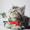 Cat Use Bowtie Cotton Cat Collar
