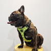 New Knitted Fabric Light Weight Dog Harness with Reflective Wires