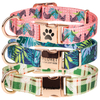 Laser Name Contact on Metal Buckle Polyester Dog Collar with OEM Pattern