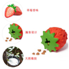 Natural Rubber Strawberry Dog Toy