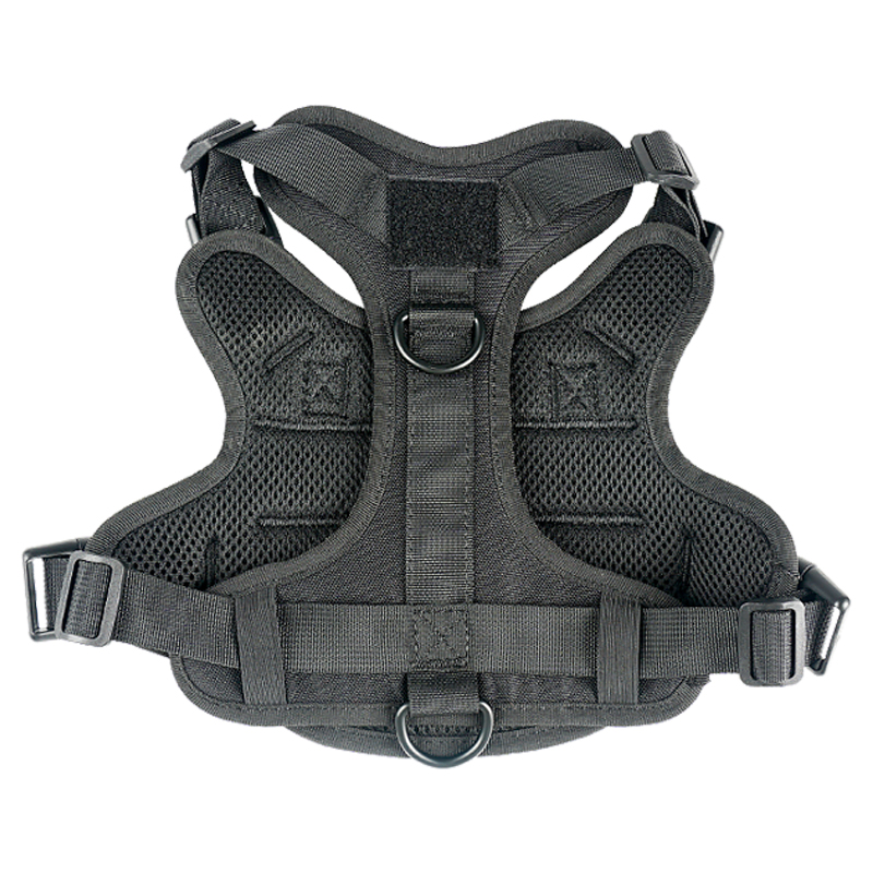 Nylon Belt Plastic Buckle | Malaysia