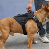 New Tactical OEM Dog Harness with EVA Padded Drawing Adjustment