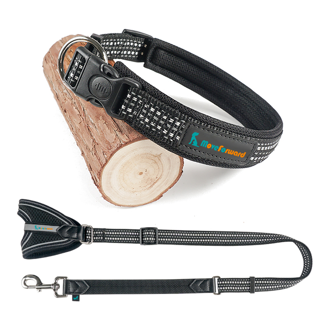 Reflective Leather Pet Dog Collar And Leash with Buckle Lock Special Comfort Handle for Walking Dog