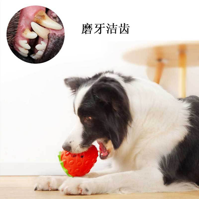 Natural Rubber Strawberry Dog Toy