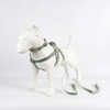 Bamboo Fiber with Cotton Light Dog Collar Harness Leash Set