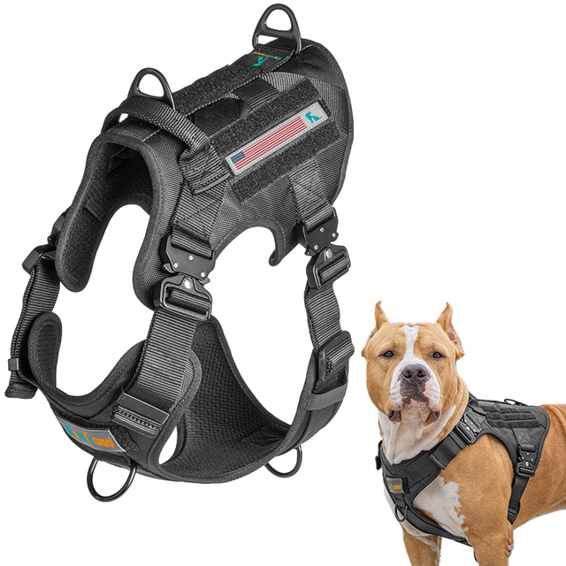 Army Style Tactical Dog Harness for Outdoor Activities with EVA Padded 800D Oxford Waterproof