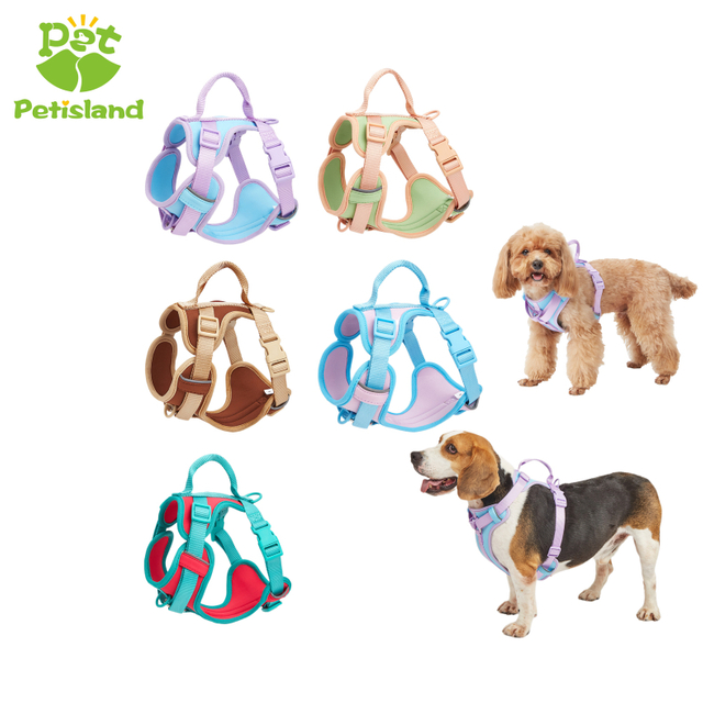 Colorful Super Soft Upper And Bottom Padded Dog Harness