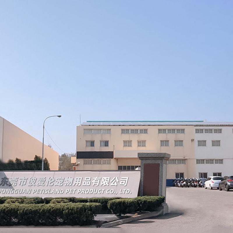 公司图1