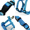 Mini Dog No Pull Cat Harness And Leash Set