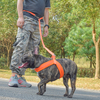 Multi-function Hands Free Useful Nylon Pet Dog Leash