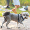 Sun Protection Fabric Space Mesh Dog Harness
